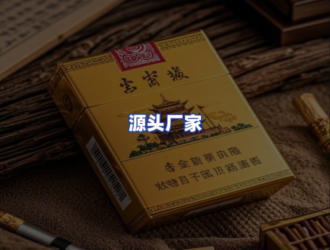 专业团队